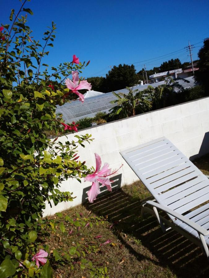 Sesoko Island Guest House Kafuu Village Motobu Dış mekan fotoğraf