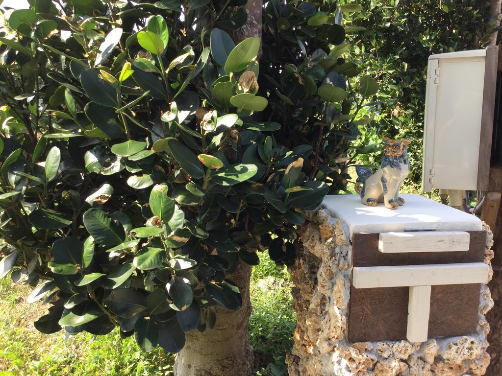 Sesoko Island Guest House Kafuu Village Motobu Dış mekan fotoğraf